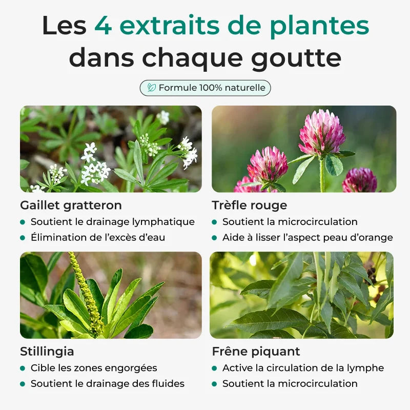 Lynae Drainant recommandé par les naturopathes