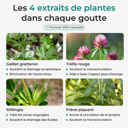 Lynae Drainant recommandé par les naturopathes